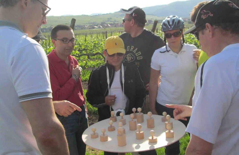 Weinbergrallye Teilnehmer lösen ein Rätsel
