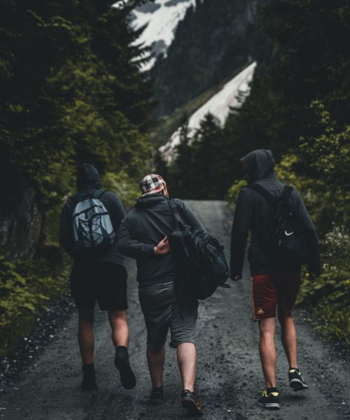 Gemeinsame Wanderung durch den Wald