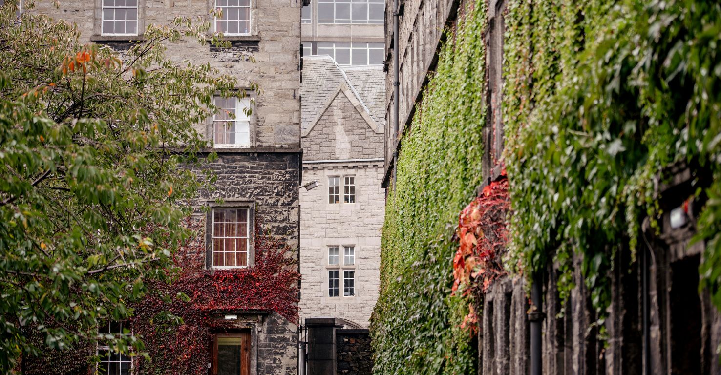 Bewachsene Wände in Dublin, Irland