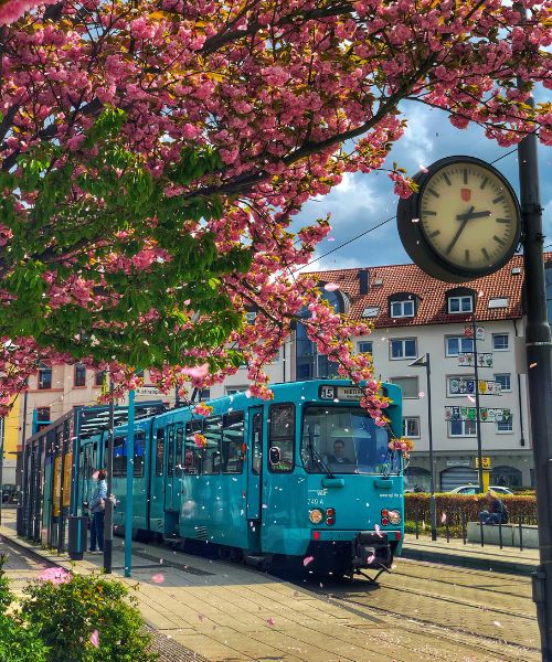 Frankfurt Straßenbahn