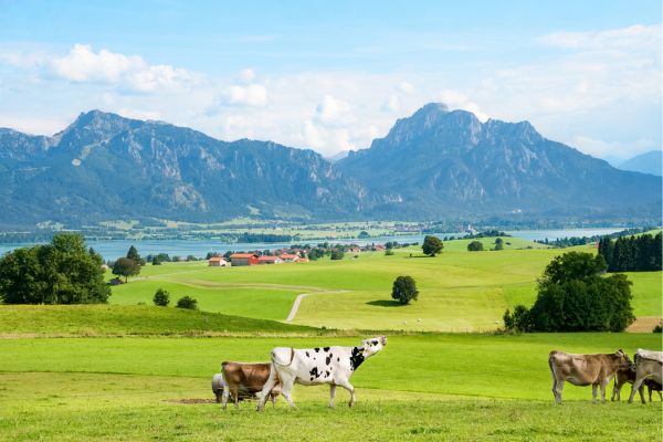 Landschaft im Allgäu