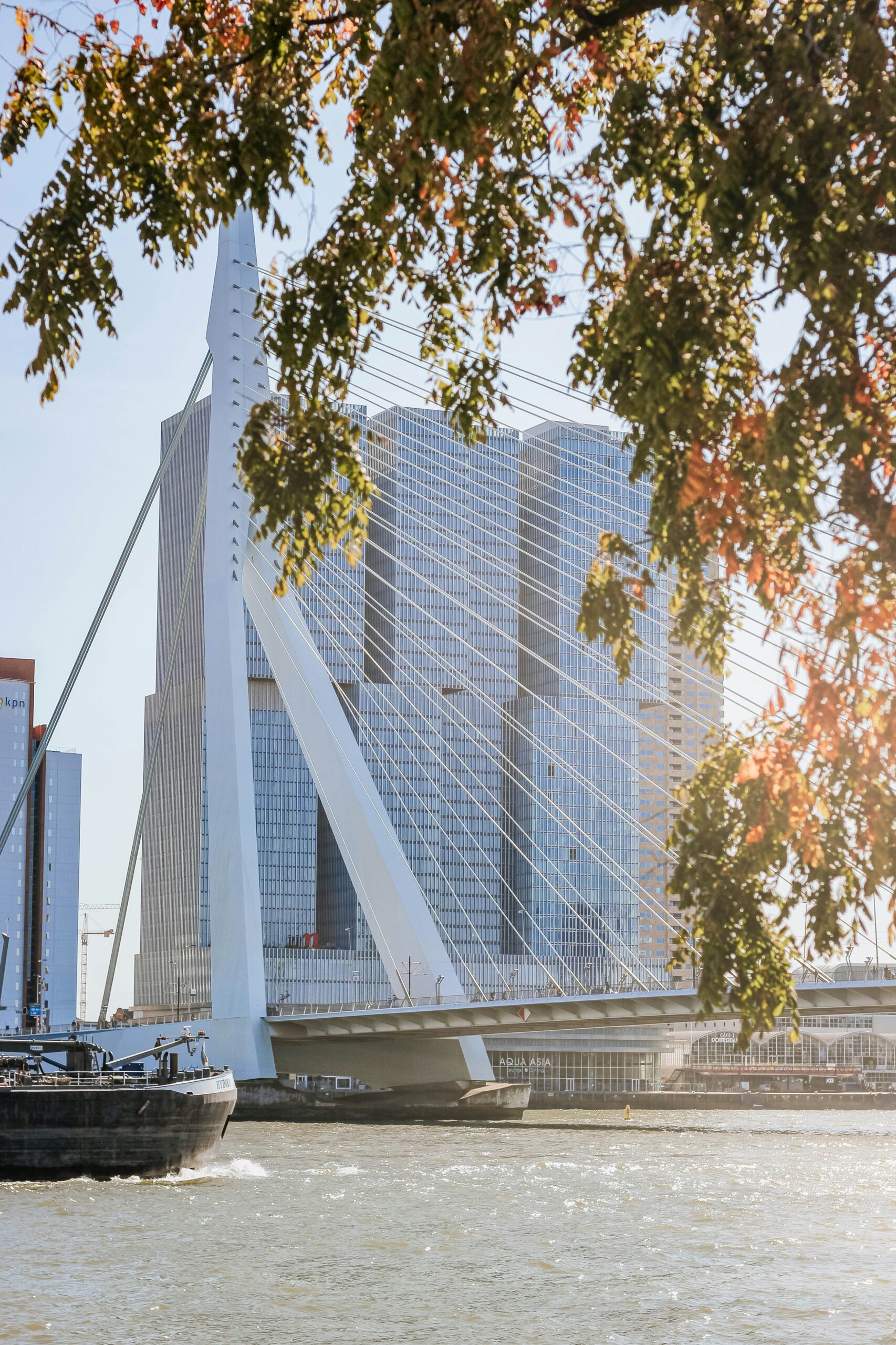 Rotterdam3