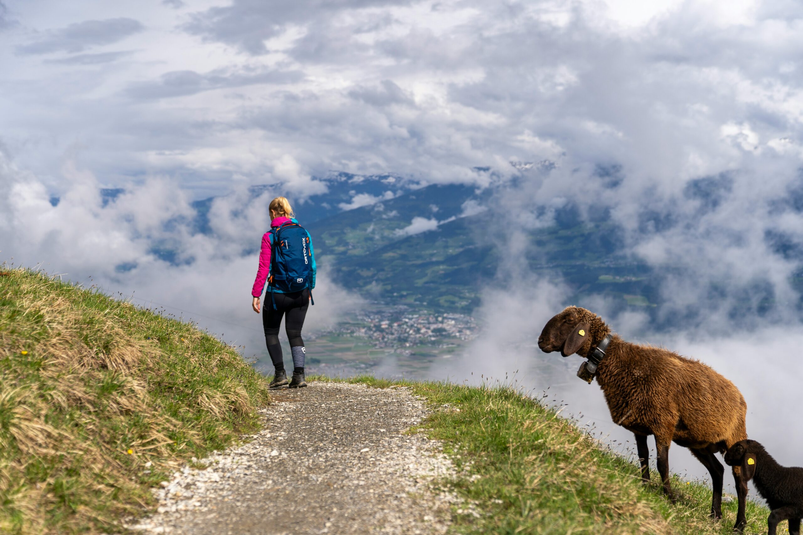wandern